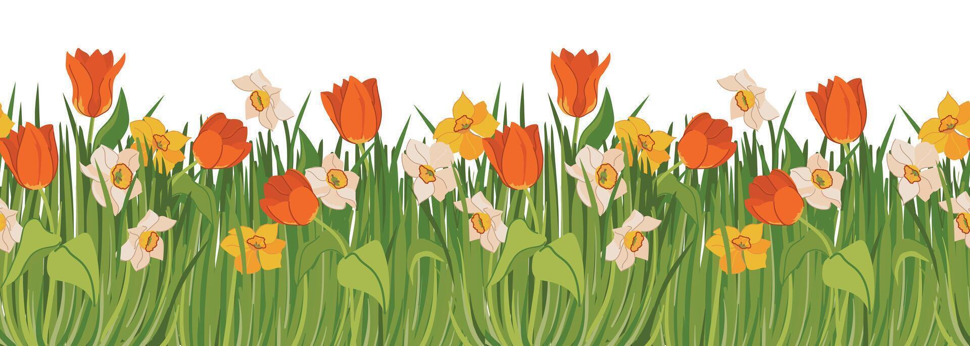 seamless pattern with spring flowers and green grass. Red tulips, yellow and white daffodils on the meadow. Banner with plants at the bottom and space for text. vector