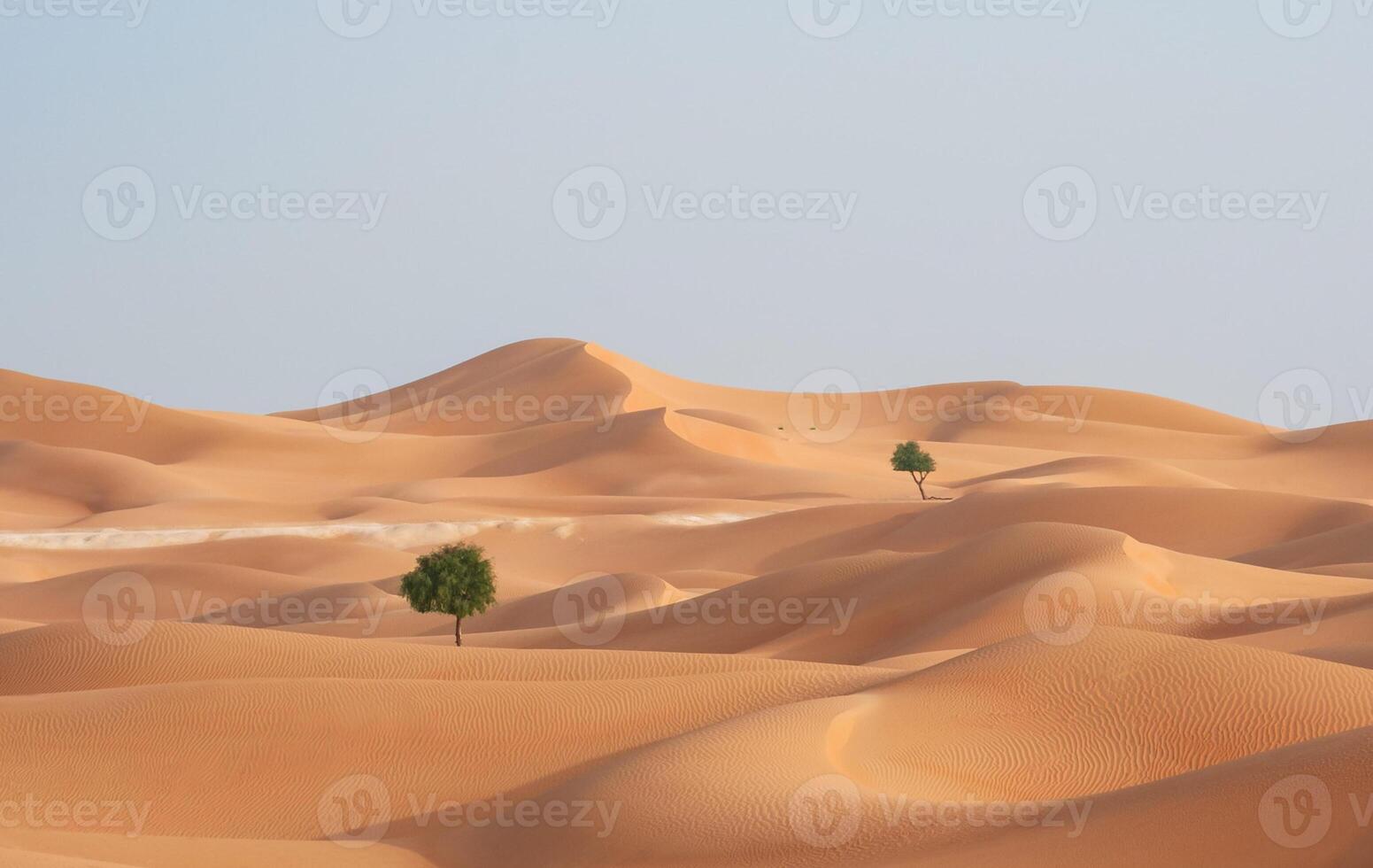 Two trees stand in the middle of a desert photo