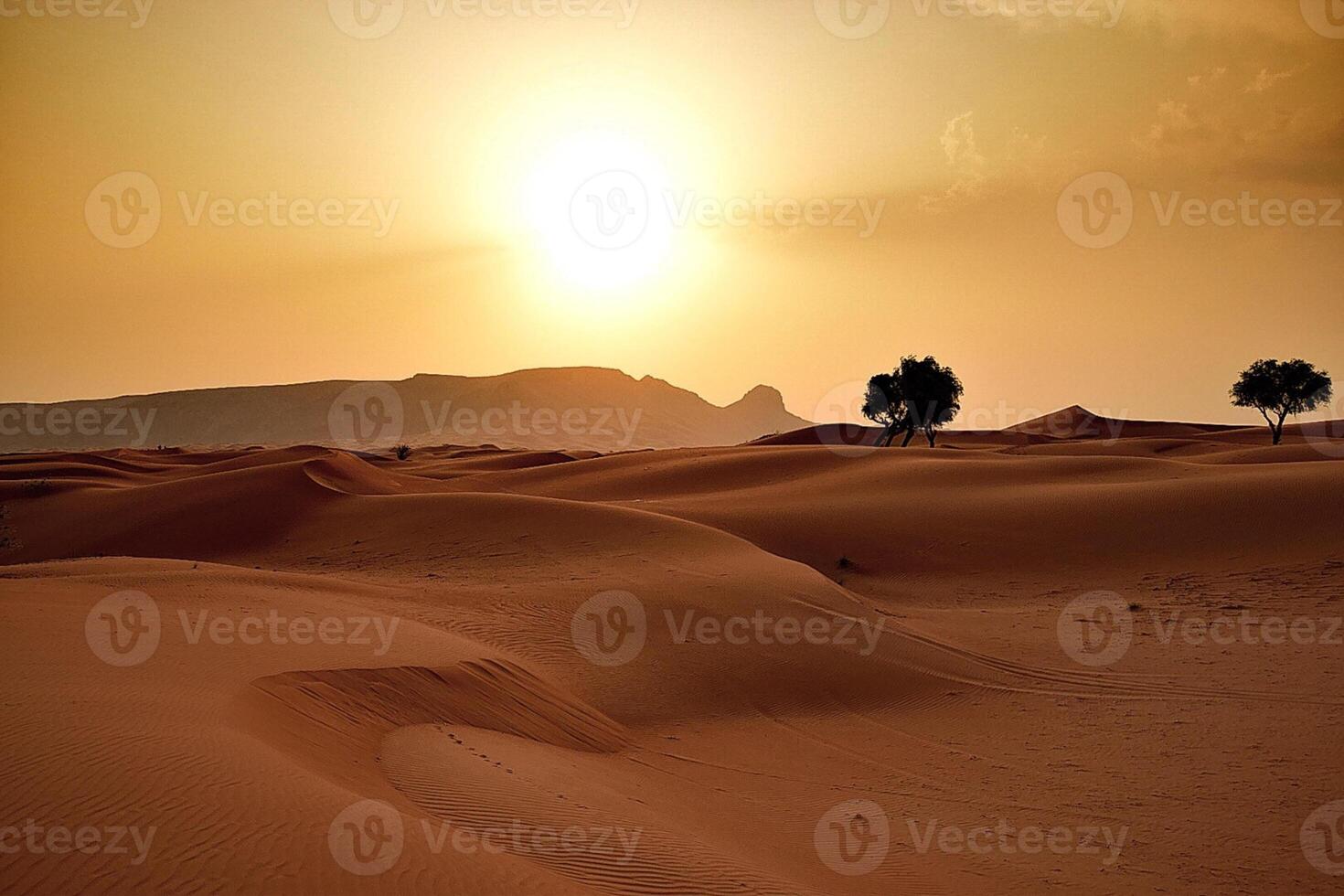 The sun is setting over the desert with two trees photo