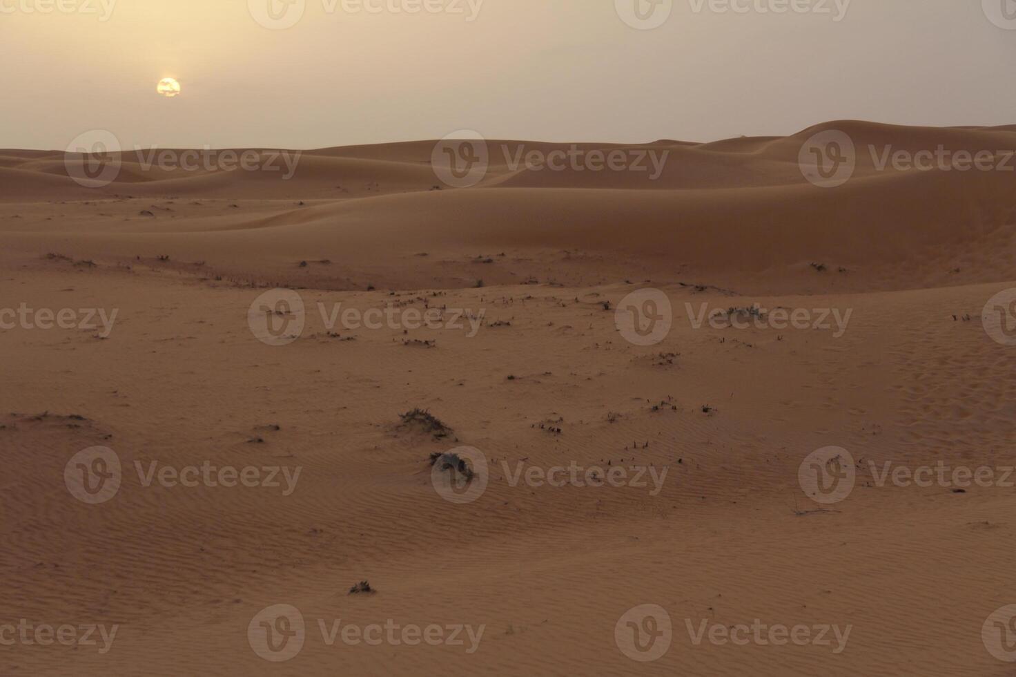 A desert with a sun setting in the distance photo