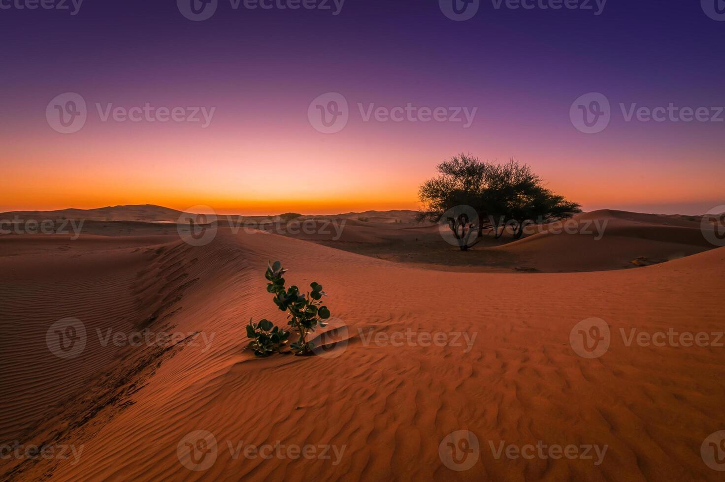 The sahara desert in the middle east photo