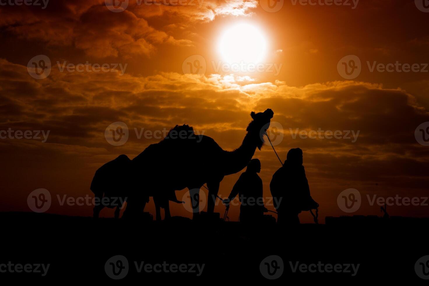 A camel and two people photo