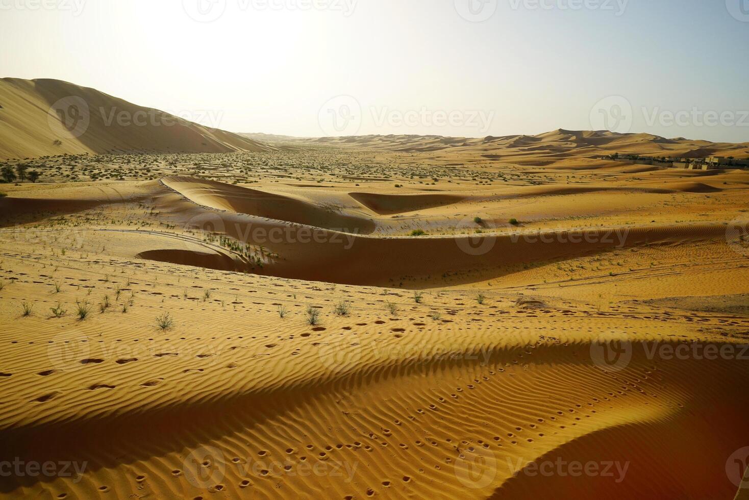 A large desert with sand dunes and a few trees photo