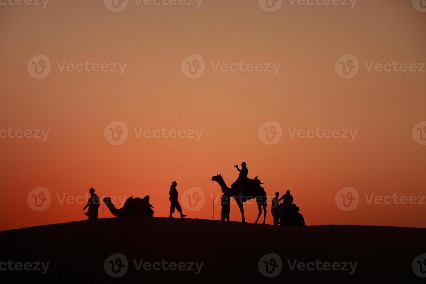 A group of people on camels at sunset photo