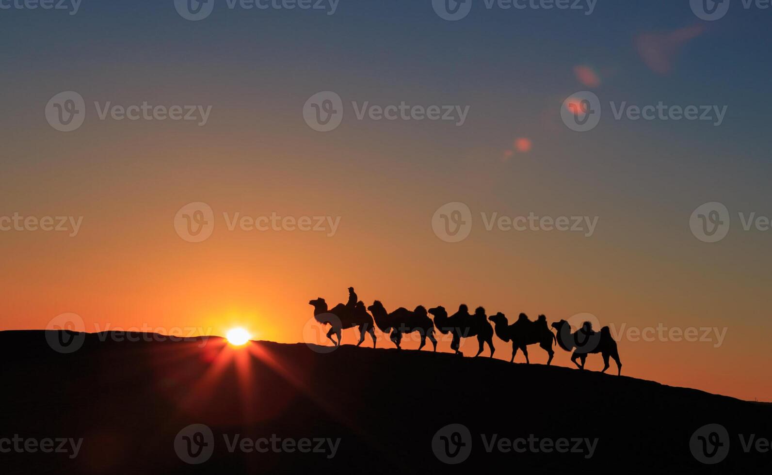 A group of people riding on camels at sunset photo