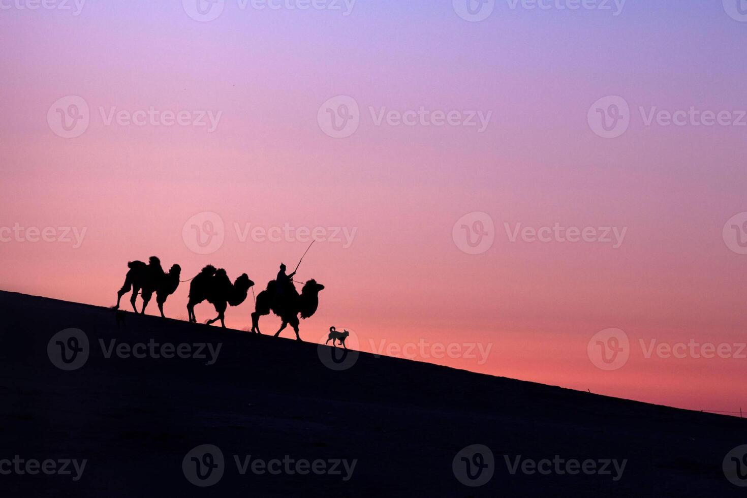 A group of people on horses walking down a hill photo