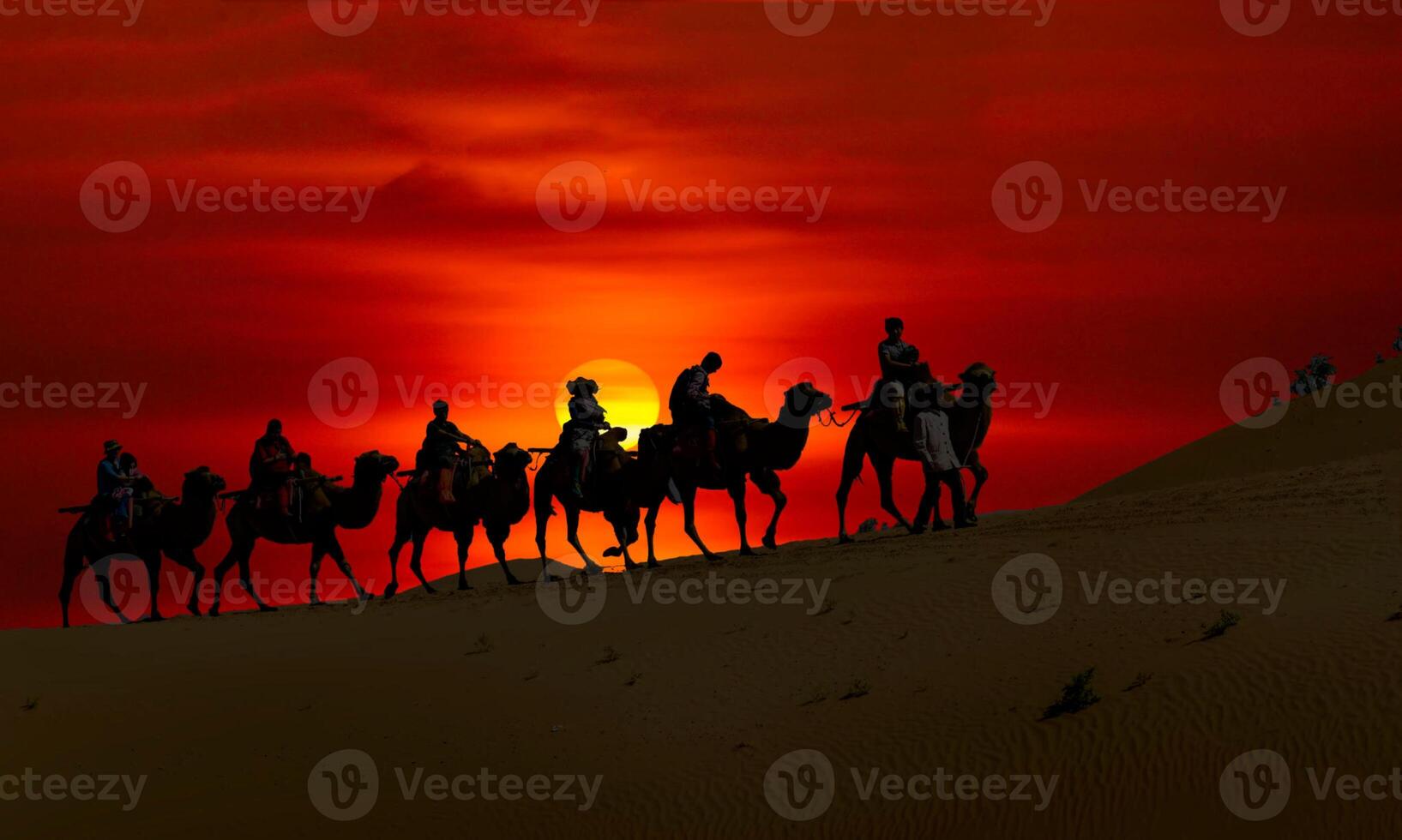 A group of people riding on horses in the desert photo