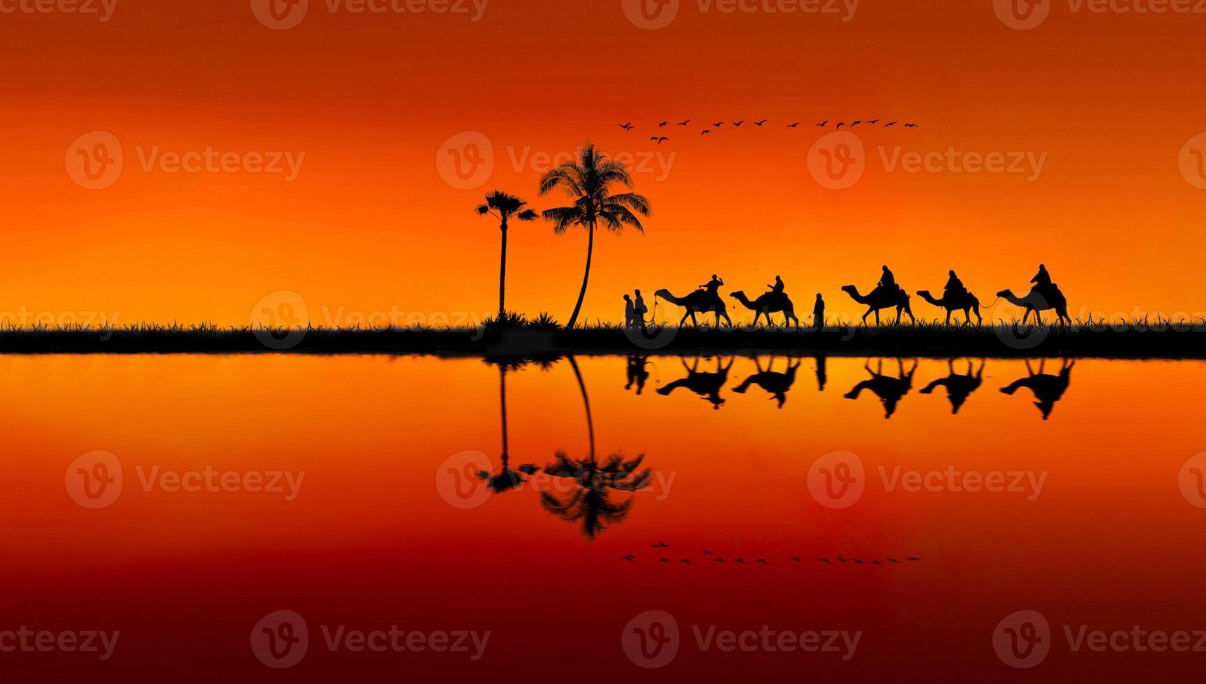 A group of camels are reflected in the water at sunset photo