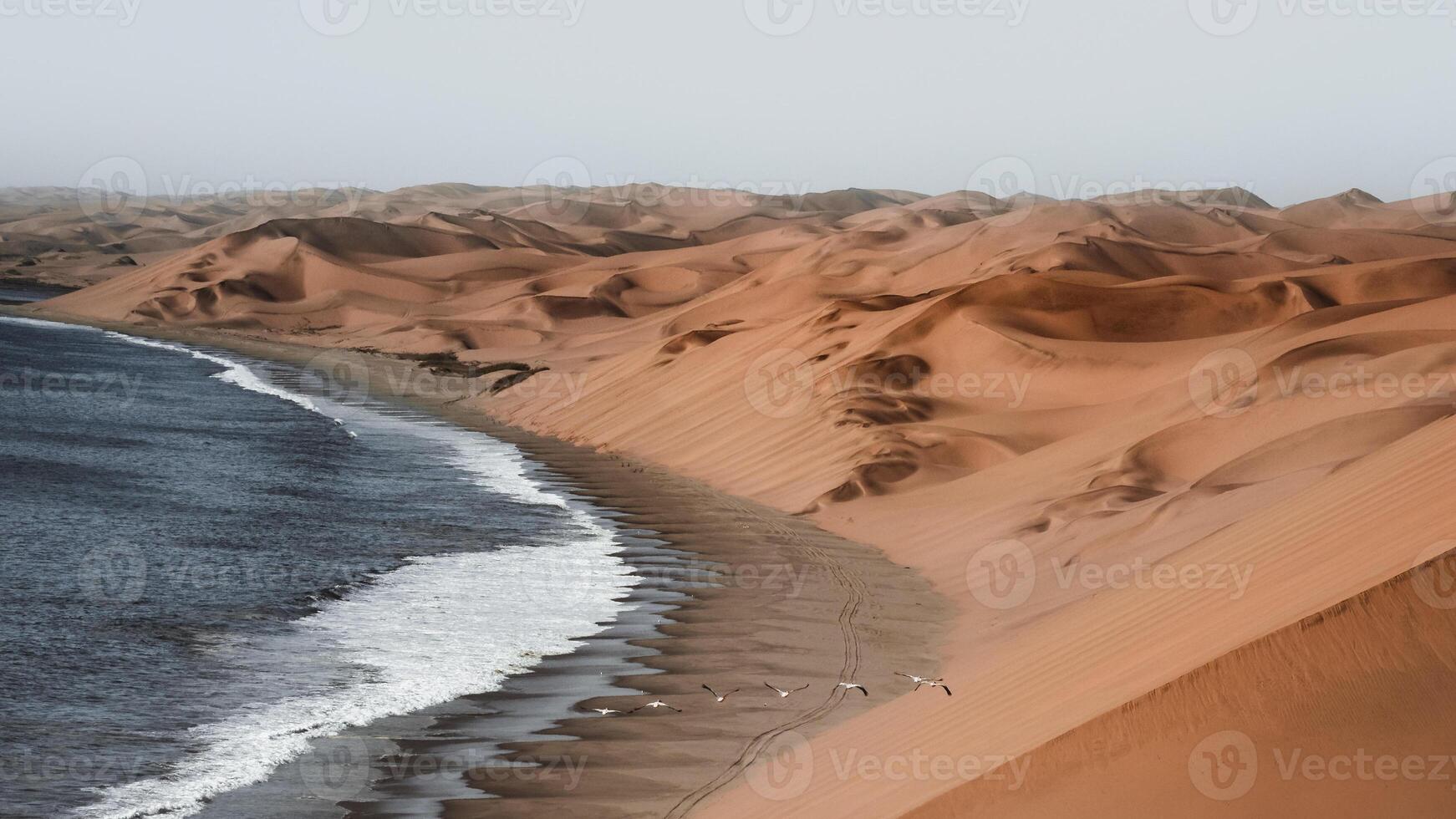 A beach with sand dunes and water in the background photo