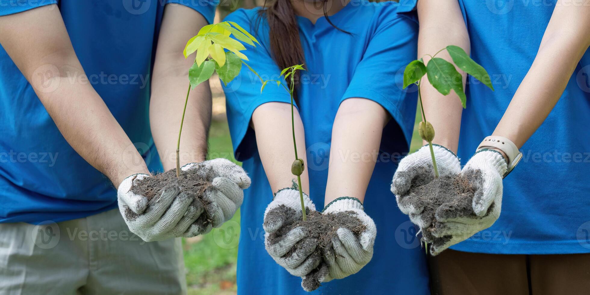 Environmental Stewardship through Tree Planting. Volunteers showcase their effort in creating a sustainable future by planting saplings. photo