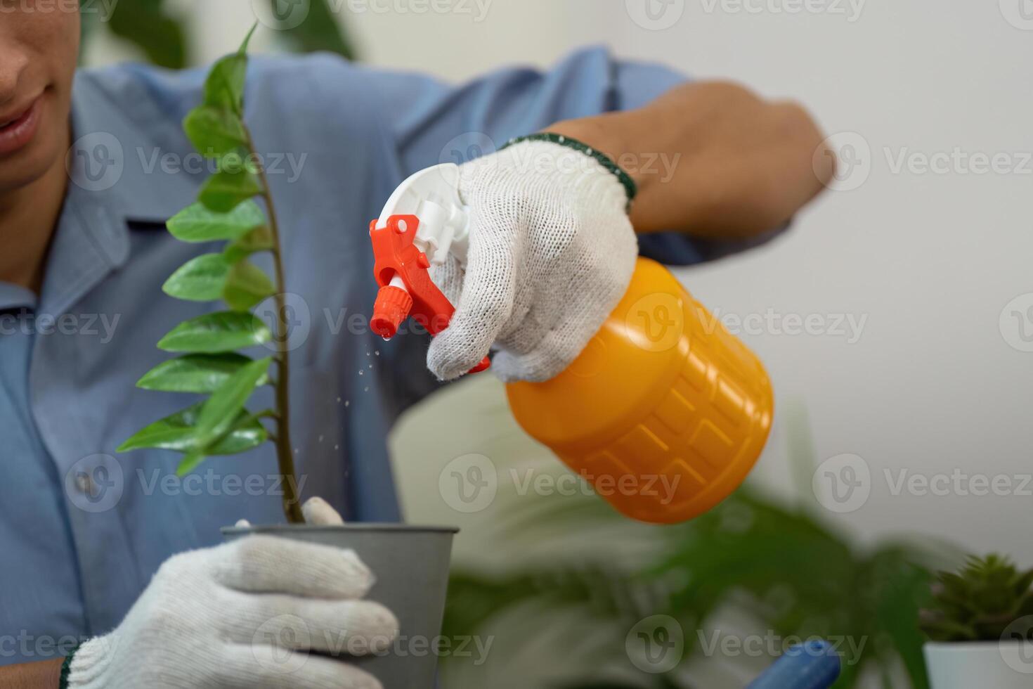 Plant Health and Sustainability. An individual utilizes a spray bottle to provide hydration to a plant, emphasizing eco-friendly practices. photo
