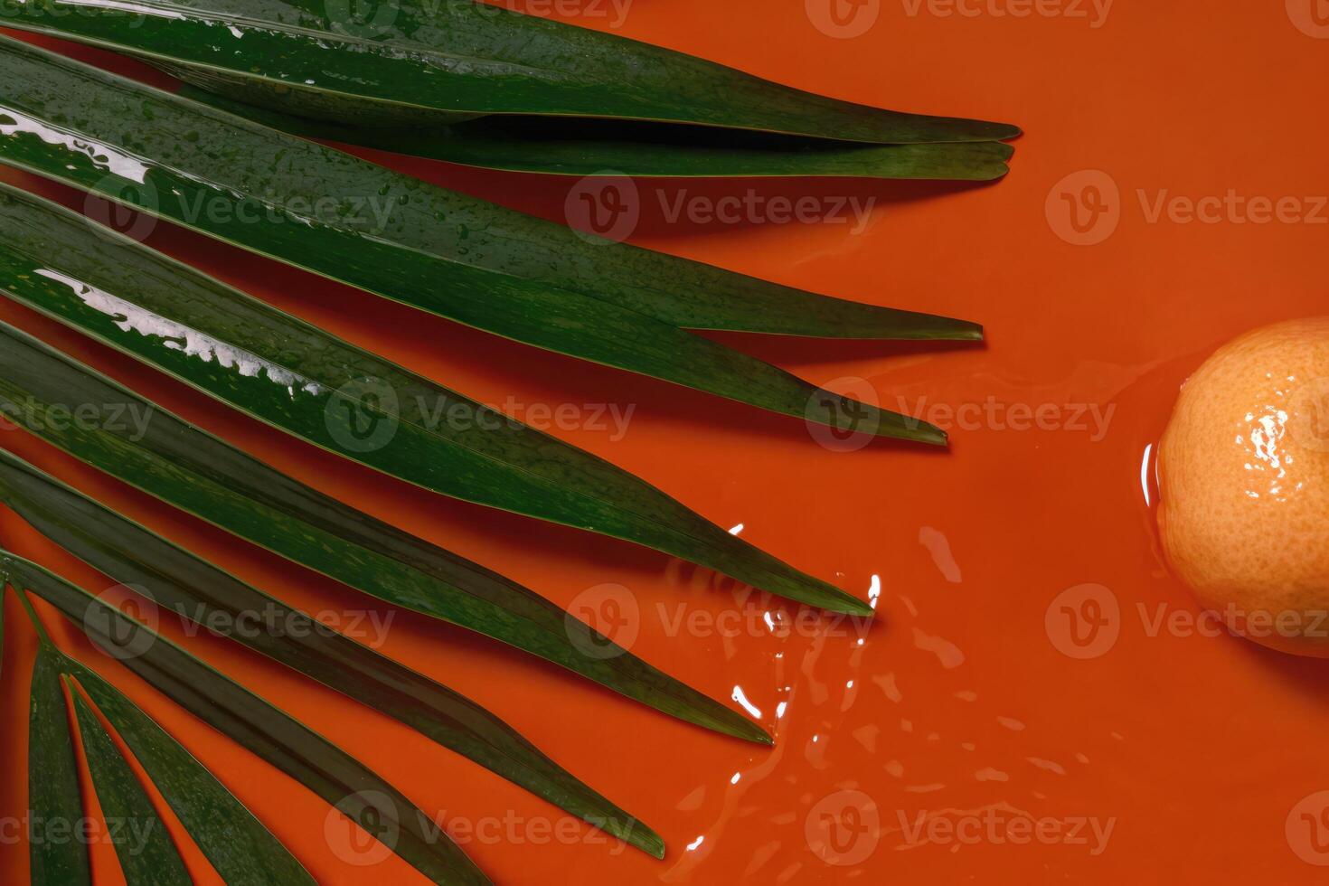 Vibrant orange and green harmony with tropical leaves and a zestful fruit photo
