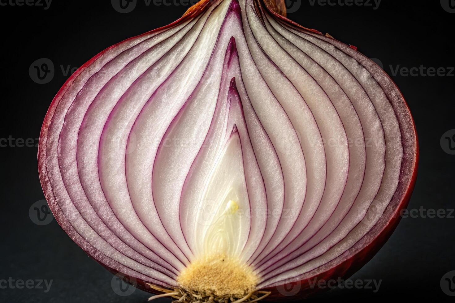 Cross-section of a red onion displaying intricate layers and distinctive colors photo