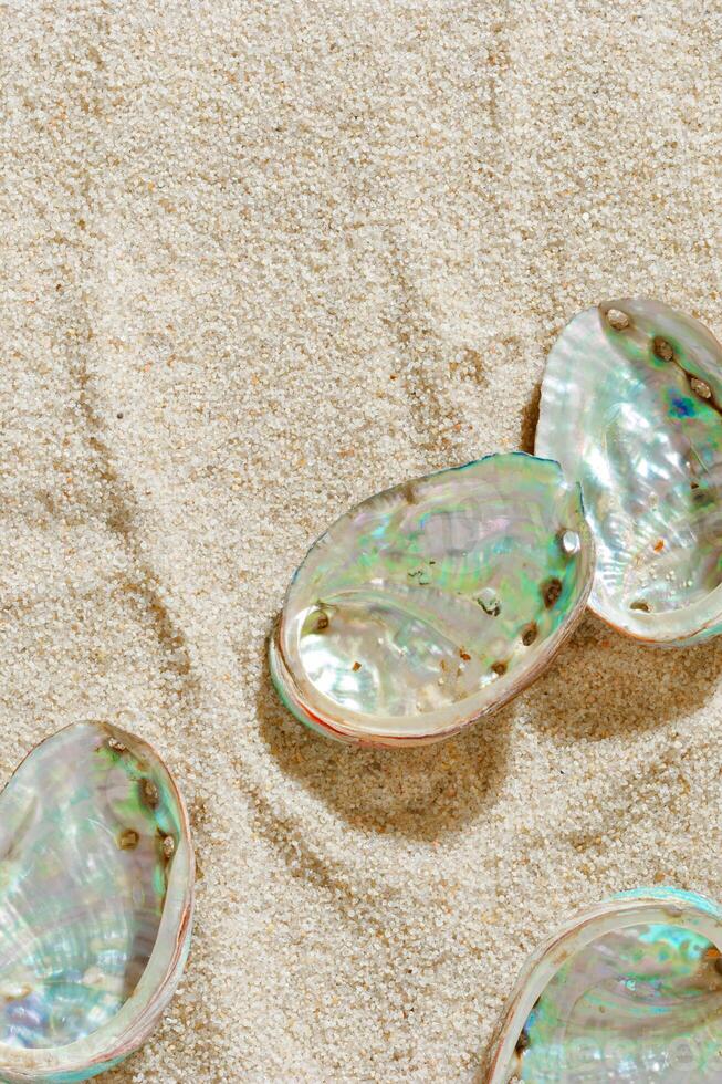 Aesthetic minimal summer sea holiday concept, shiny pearlescent seashells on fine sand. Top view colorful abalone shells on sandy textured background, sea, blue green beige earthy tones, copy space photo