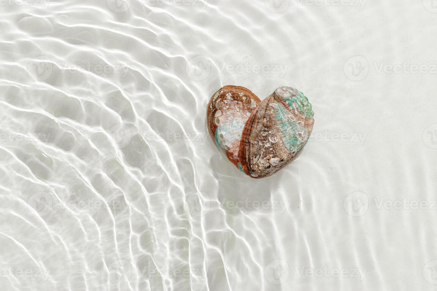 Shiny Shells of abalone as heart with waves sea water textured background, closeup seashell with pearlescent iridescent surface, color clamshell Haliotis, top view, sea oceanic nature love concept photo