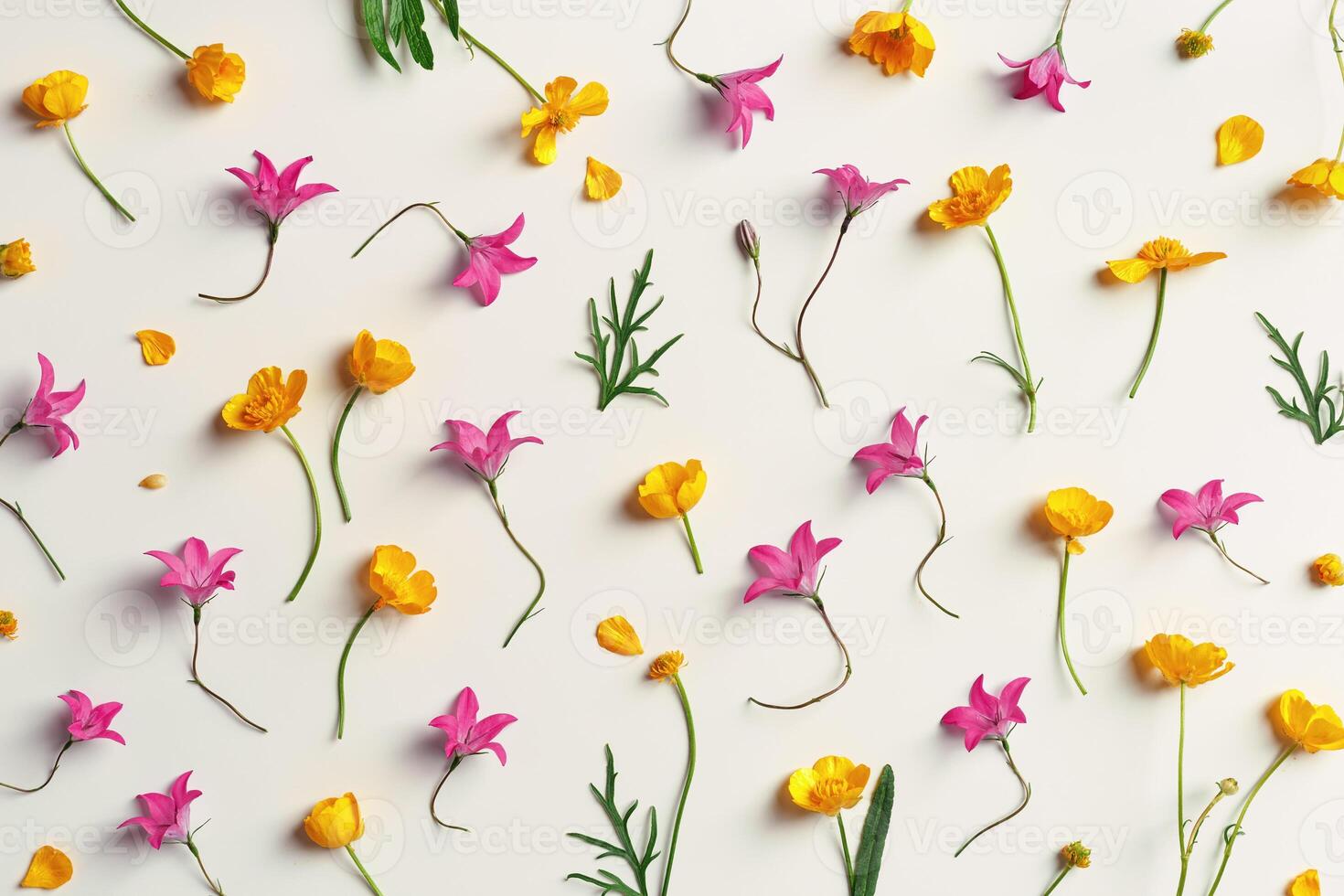 Yellow and purple flowers, green leaves on beige background, minimal pattern, aesthetic floral flat lay photo. Beautiful nature still life with wildflowers bellflower and Ranunculus photo