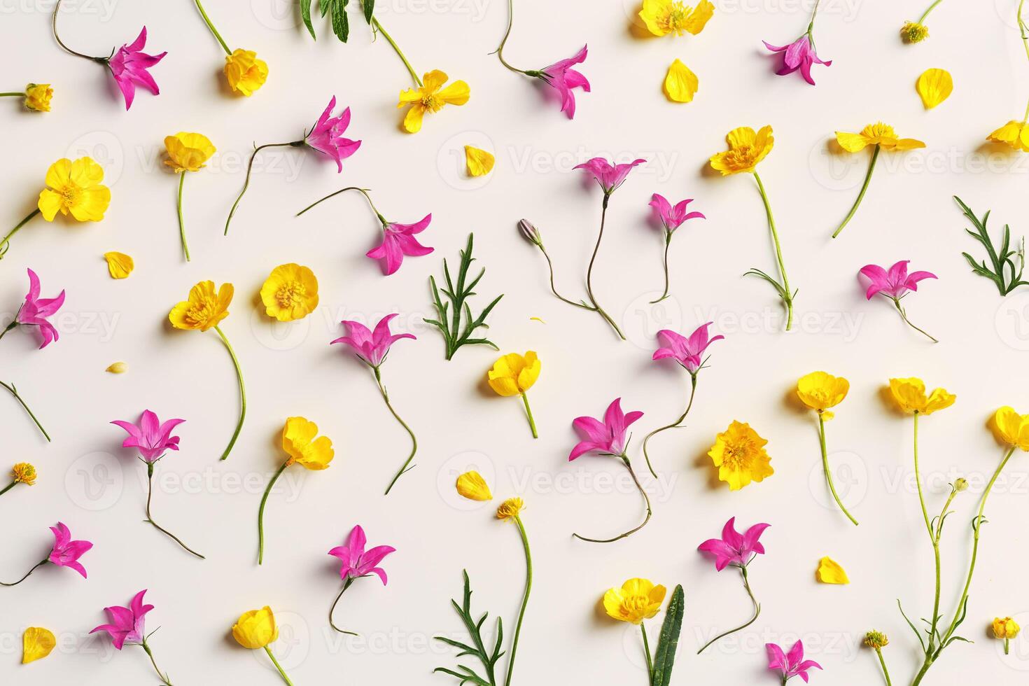 Minimal floral pattern of field flowes, top view Yellow purple flower, green leaf on beige background, spring summer season concept, creative flat lay beauty nature, wild blooms, florals design photo