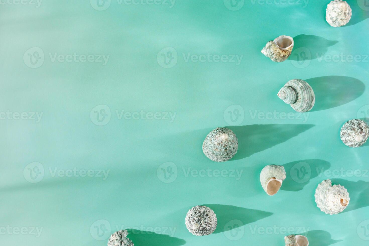 Top view summer background with shells at sunlight, seashell, conch on blue mint color fon, stylish still life summer sea theme, abstract nature flat lay, copy space, flare from sun, gradient photo