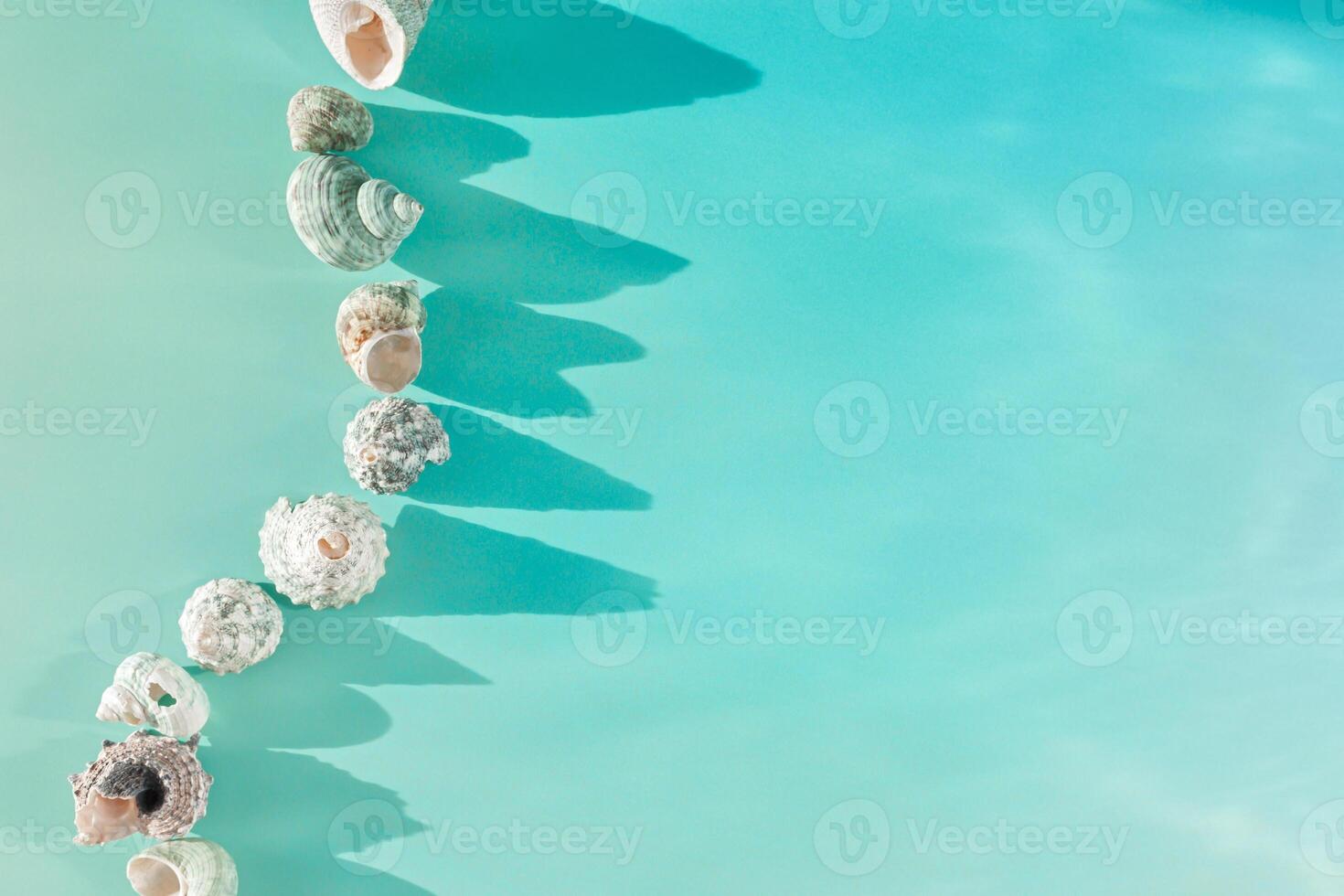 Top view summer background with shells at sunlight, seashell, conch on blue mint colored fon, stylish still life summer sea theme, abstract nature flat lay, copy space, flare from sun, gradient color photo