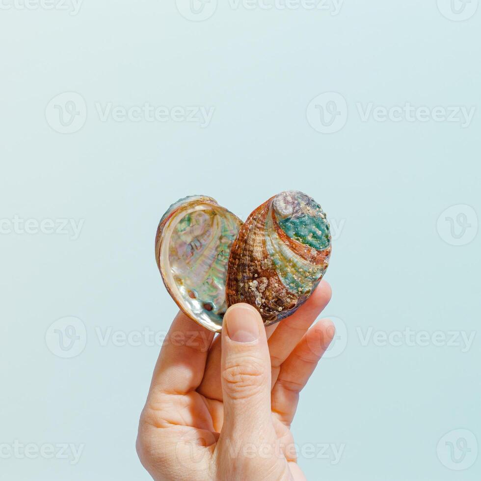 Shiny Shells of abalone as heart in woman hand, light blue background, close up seashell with pearlescent iridescent surface, colored clamshell Haliotis, sea oceanic nature love concept, card photo