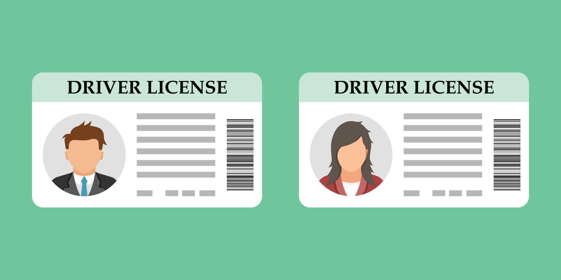 Driver license and driver license card vector