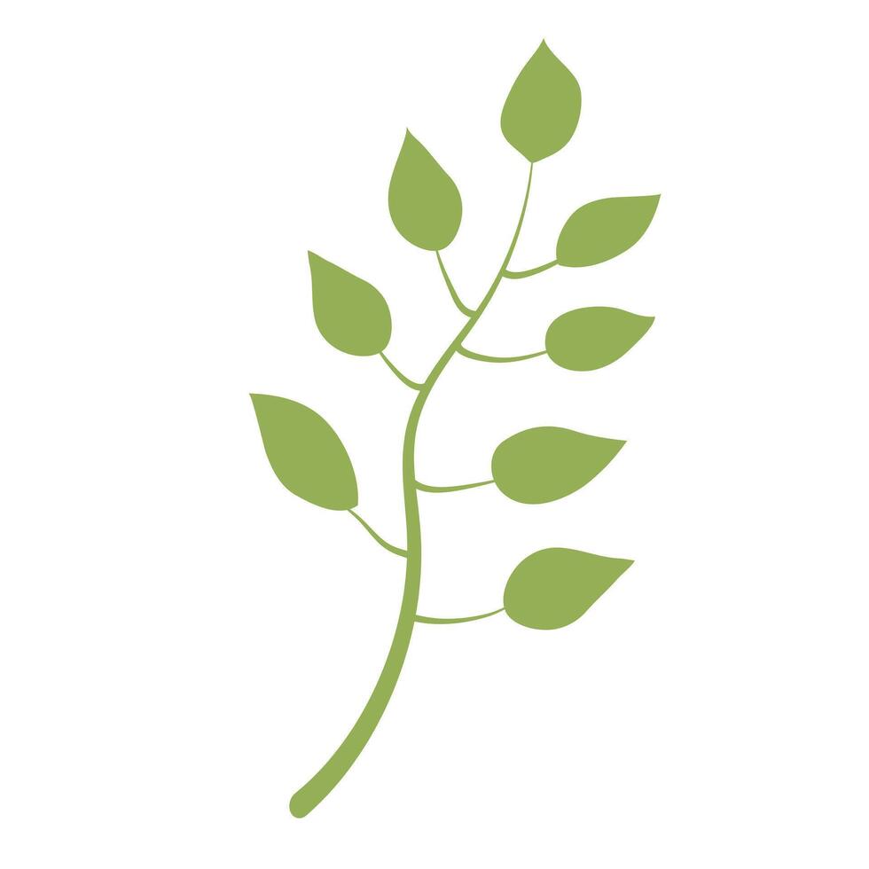 Cute twig isolated on white background vector