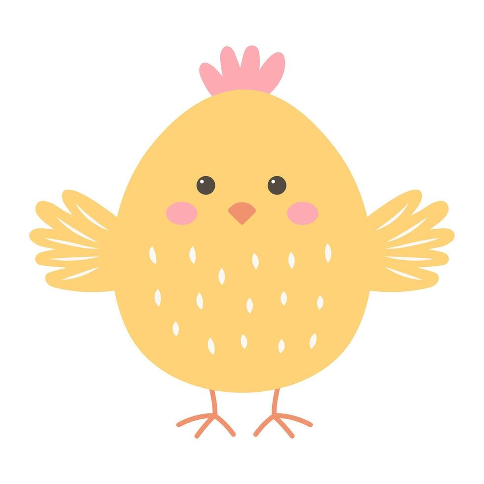 Cute chick isolated vector