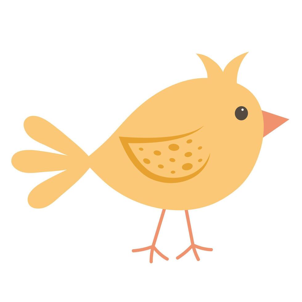 Cute chick isolated on white vector