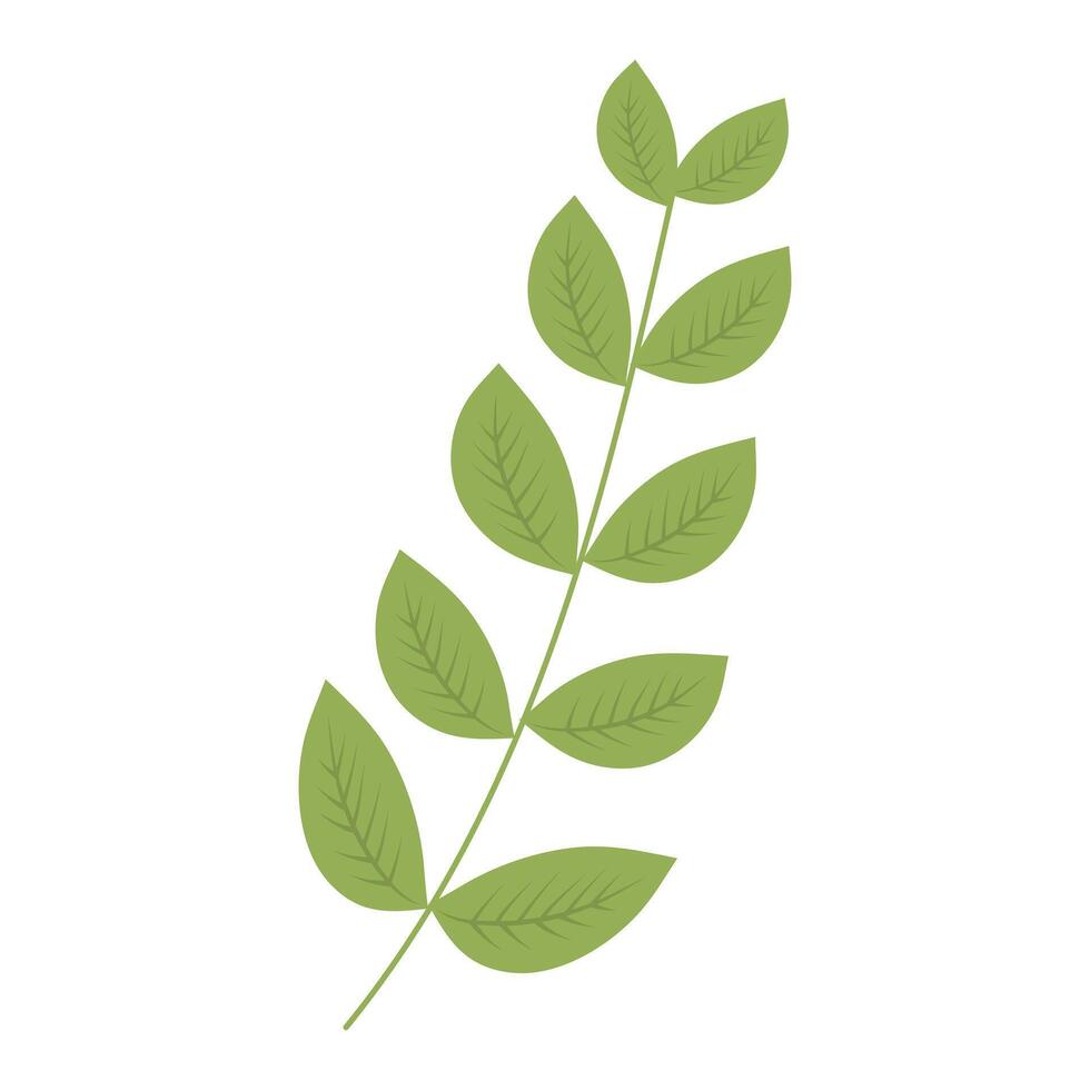 Cute twig isolated vector