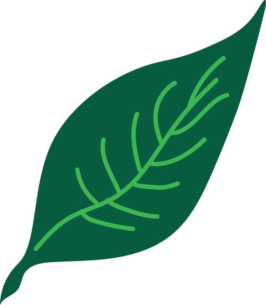 a green leaf icon on a white background vector