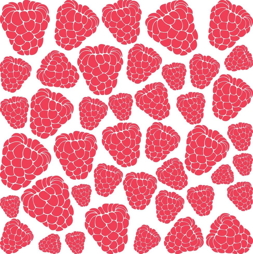 Raspberry Fruit Color Background vector