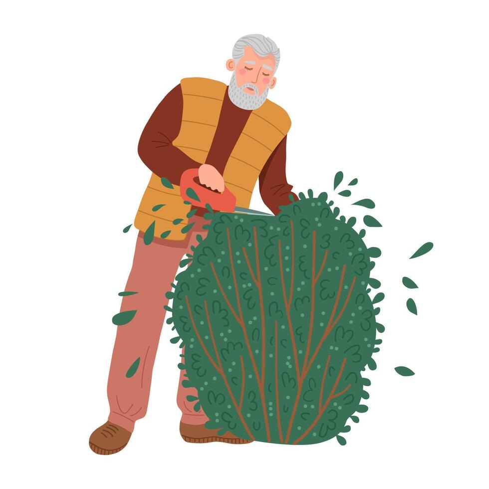 Elderly man is trimming a bush , topiary art. vector