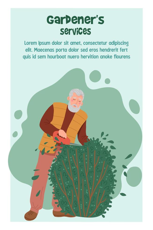 Elderly man trims a bush with scissors. Advertising banner template Gardeners services. vector