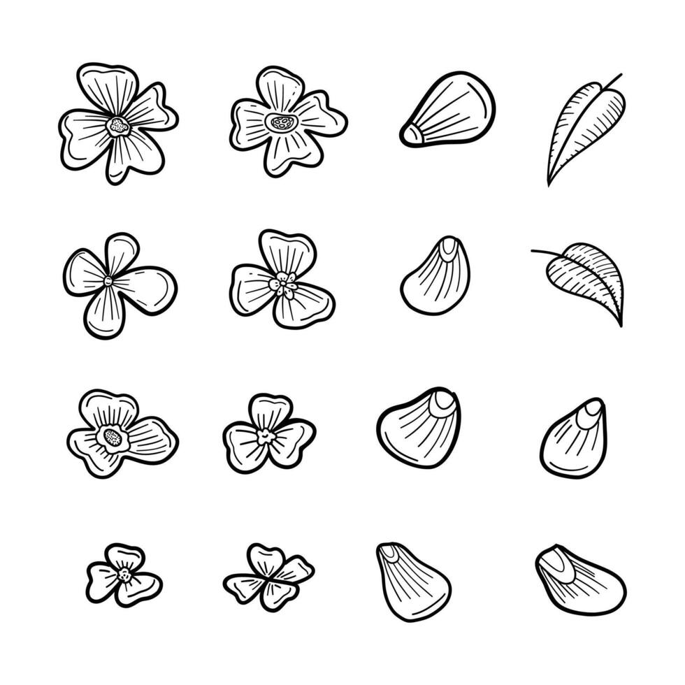 Hand-drawn botanical doodles of flowers, petals, and leaves in delicate black outlines, perfect for garden design, organic labels, and floral art prints vector