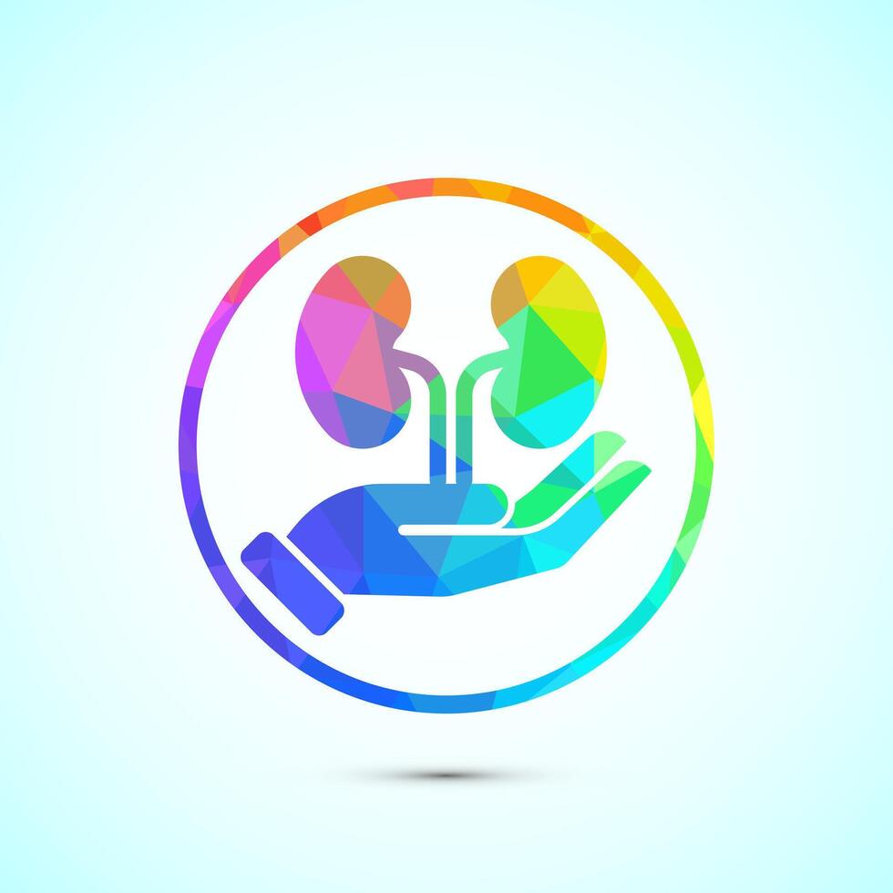 Kidney icon design. Human organ icon, low poly vector
