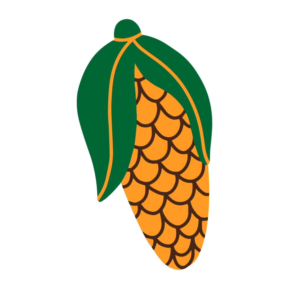 Ripe corn cartoon illustration png