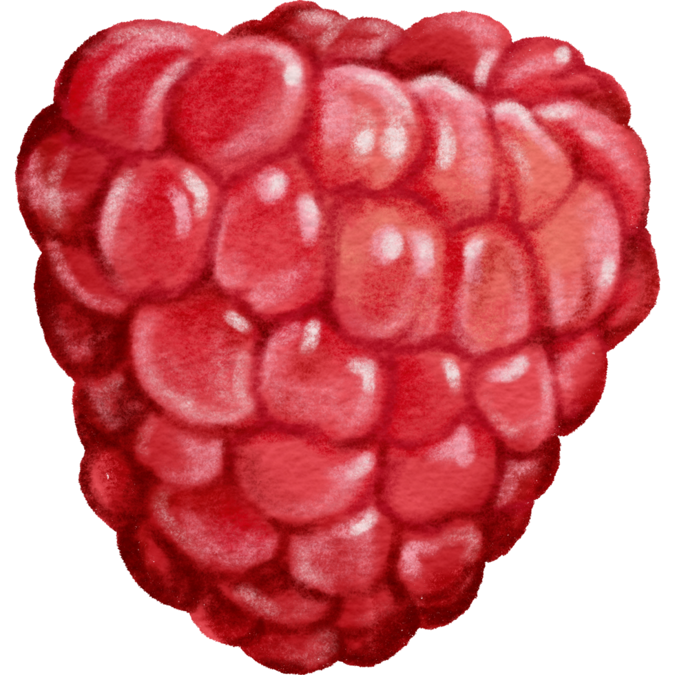 raspberry fruit red drink png