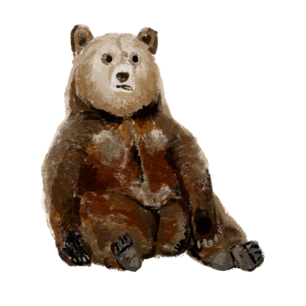 Brown bear sitting relaxing cute cartoon png