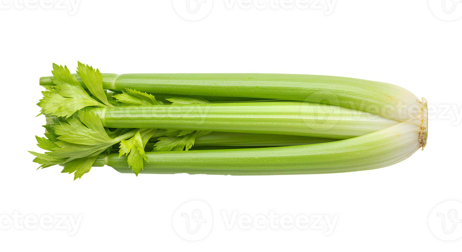 Celery stalks and leaves isolated on white background. Fresh organic celery rich in antioxidants and fiber for diet, nutrition, and plant-based food campaigns png