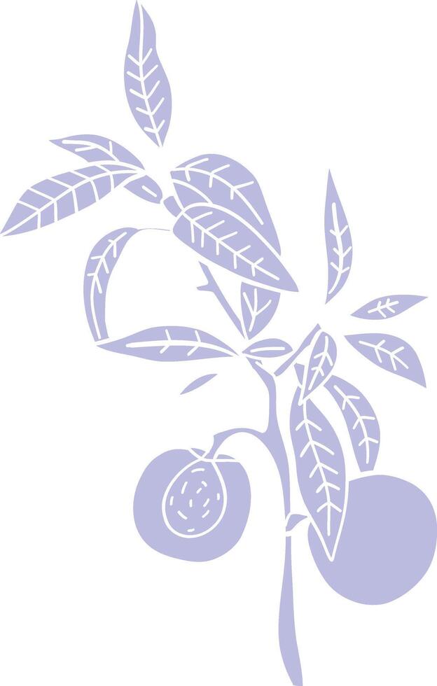 Illustration of Citrus Branch with Leaves and Fruits vector