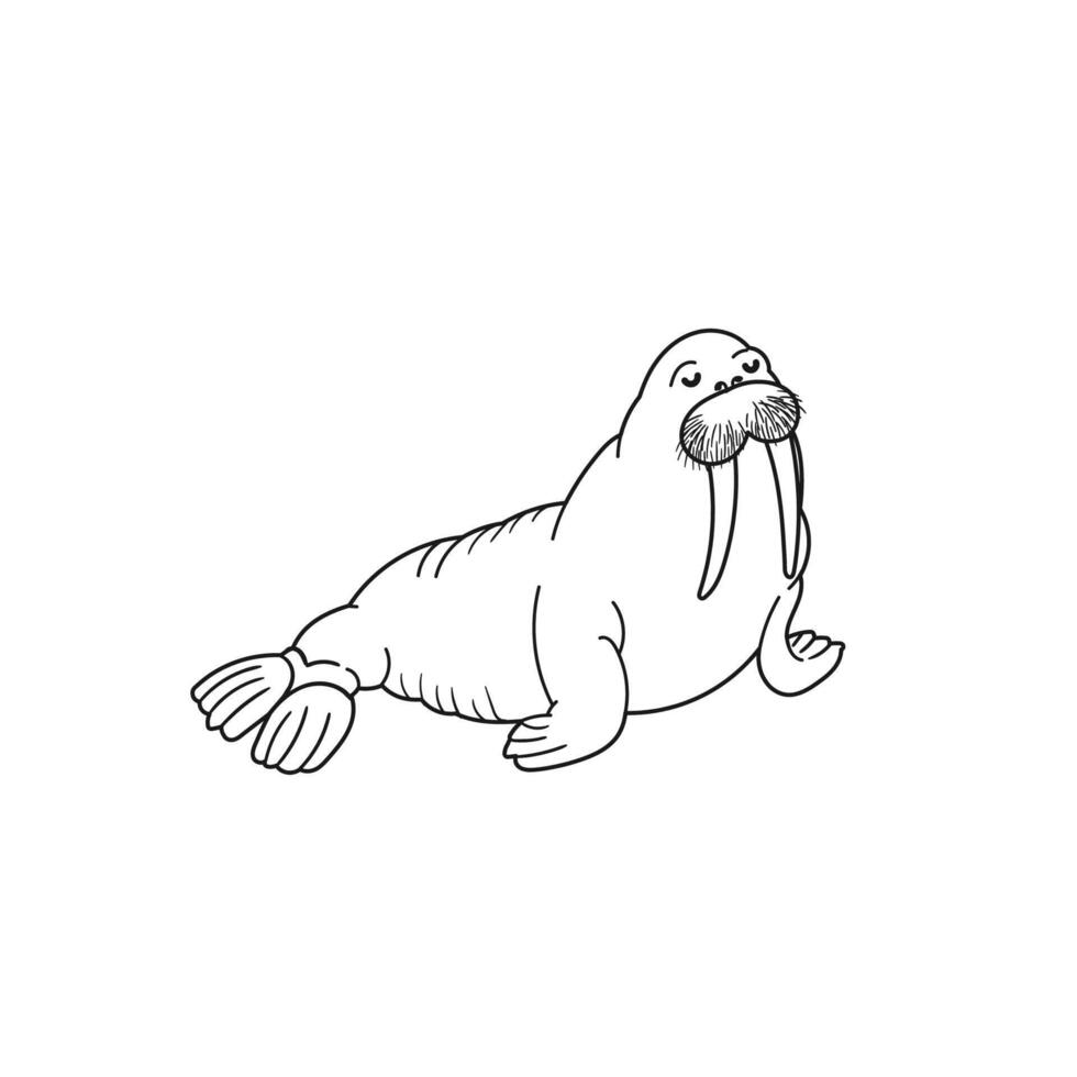 Outline Illustration of Walrus Isolated on White Background vector