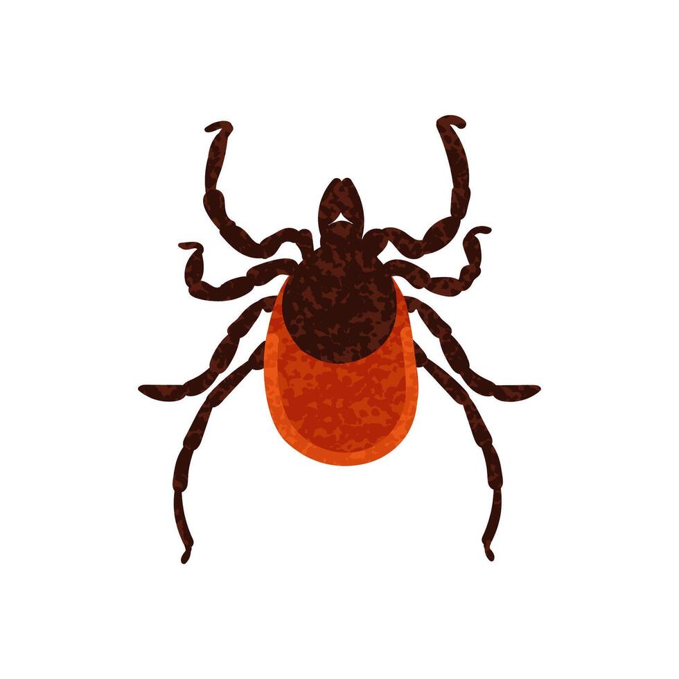 Colorful Illustration of Mite Isolated on White Background vector