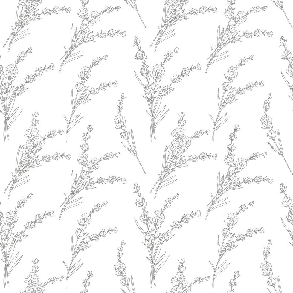 Floral seamless pattern with Lavender. Lavender background. Eco background. Lavender hand drawn line art design. Elegant seamless background minimalist style vector