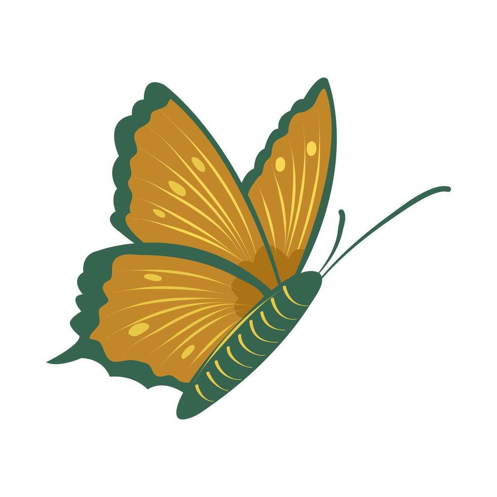 Butterfly in flight. Cute children butterfly with beautiful pattern on wings in yellow and green colors. Isolated illustration on white background. vector