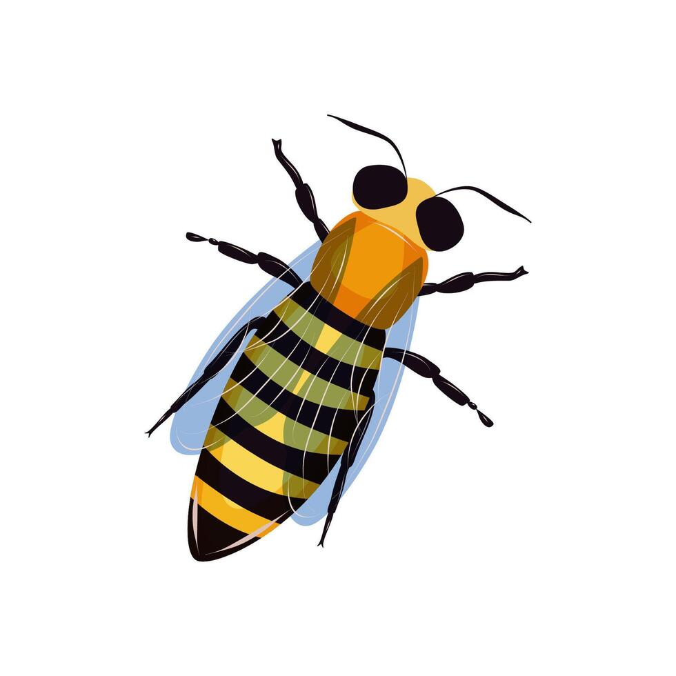 Insect bee isolated on white background. vector