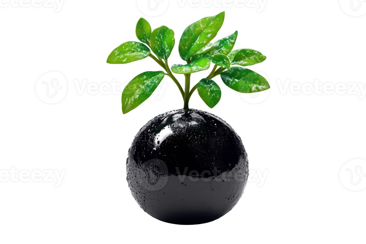 A shiny black sphere with small green plant sprouting from top, featuring vibrant leaves. This unique design symbolizes growth and sustainability, blending nature with modern aesthetics png