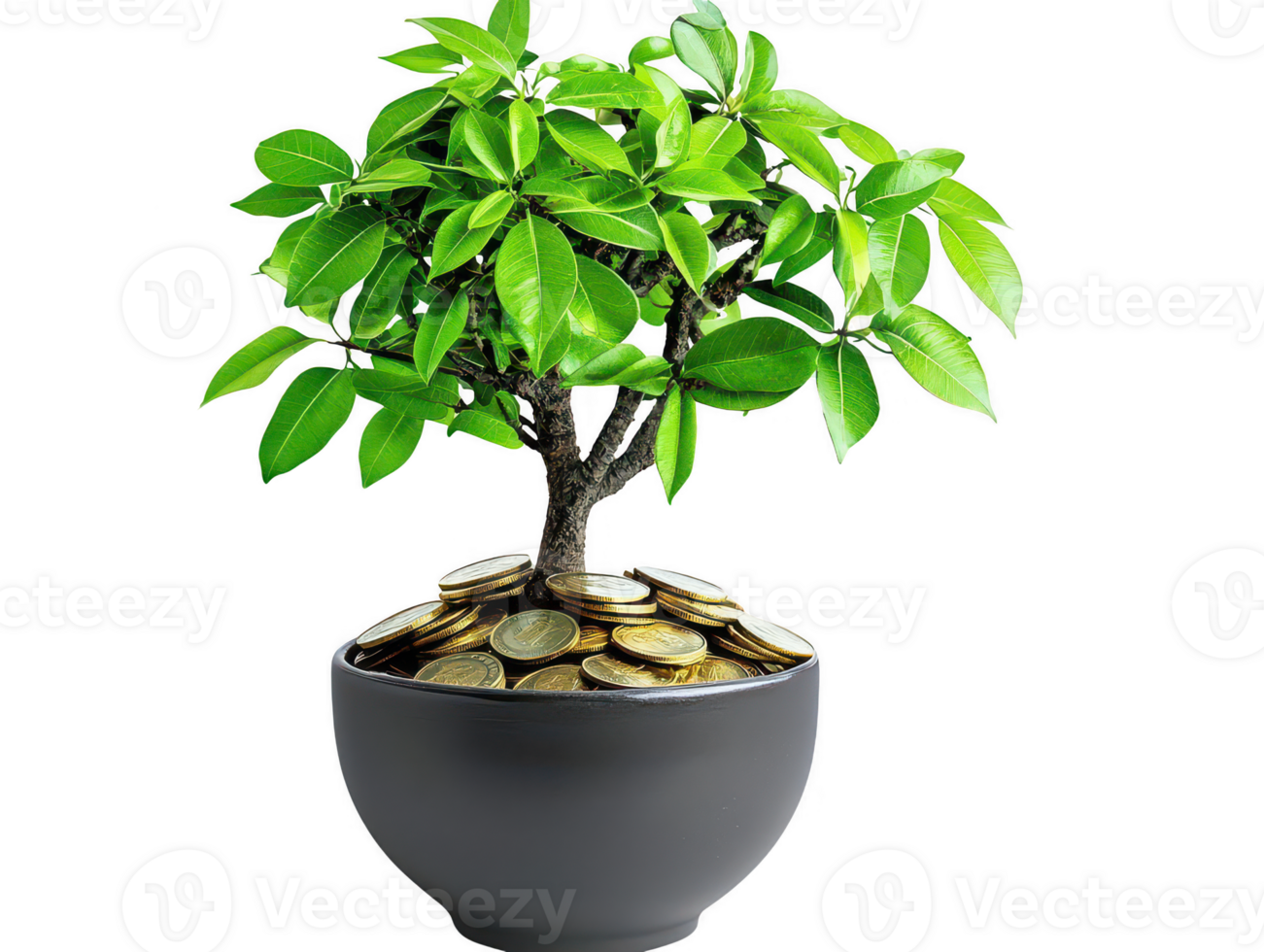 A vibrant green tree with lush leaves grows from pot filled with shiny coins, symbolizing prosperity and wealth. image conveys sense of growth and financial success png