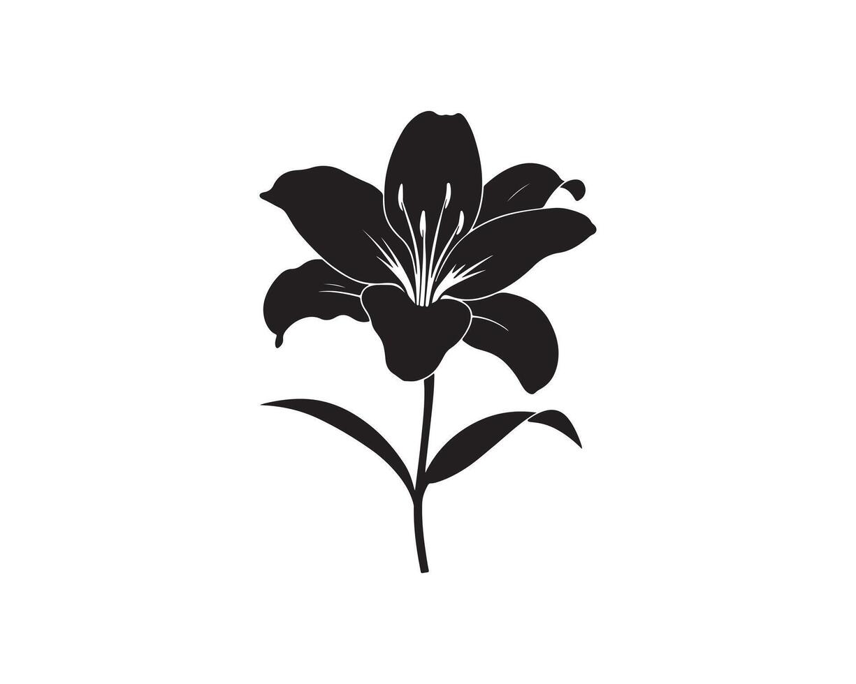 Modern Lily Flower Silhouette Art Detailed Lily Flower Silhouette vector
