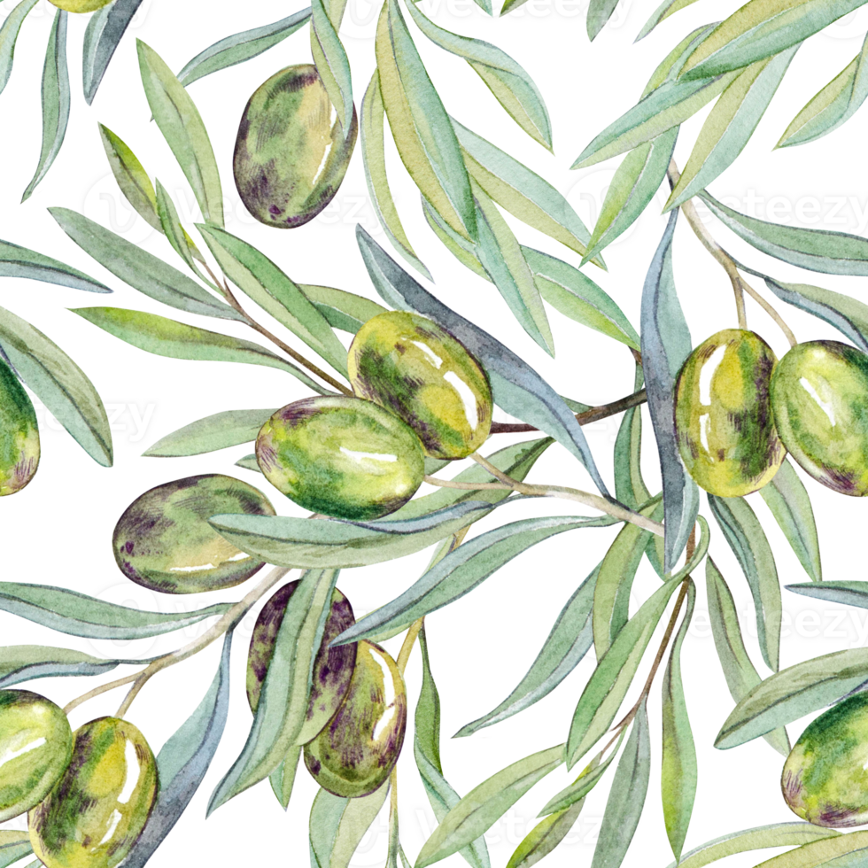 Watercolor seamless pattern of olive branches. Retro style background. png