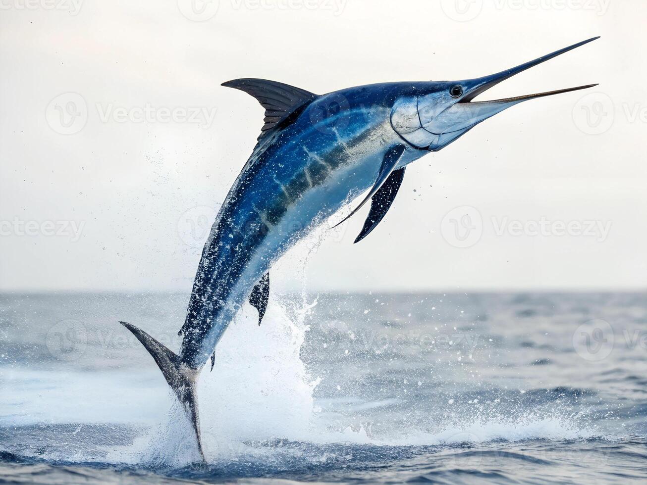 A blue marlin jumping out of the water, splashing, with its mouth open, in the ocean photo